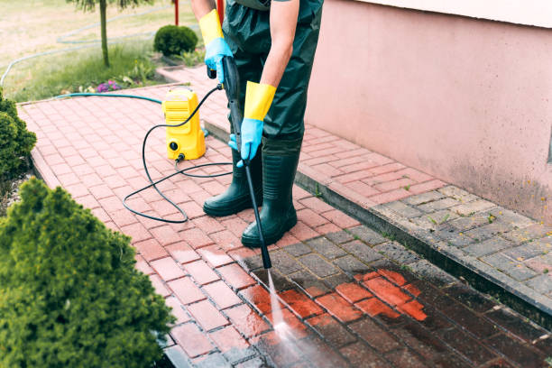Best Solar Panel Cleaning  in Mathis, TX