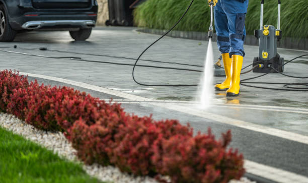 Best Roof Washing  in Mathis, TX